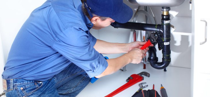 What are the most popular handyman services?